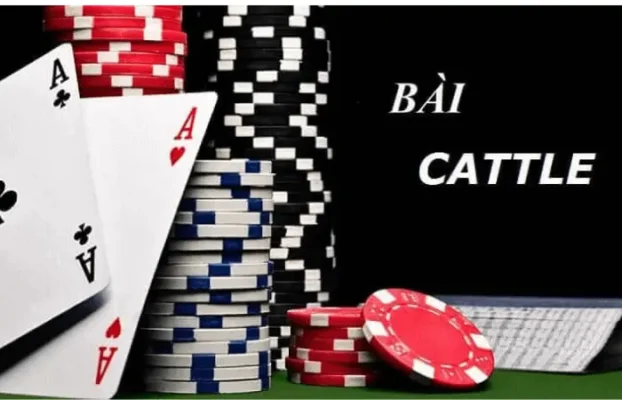 cach choi bai catte 2 Chơi bài Catte ở 4 vòng đầu tiên khá đơn giản