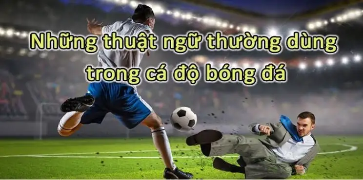 Các thuật ngữ thường được cược thủ dùng trong cá độ bóng đá