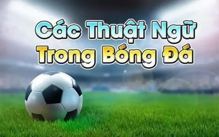 thuật ngữ cá độ bóng đá tại link vào Rik vip