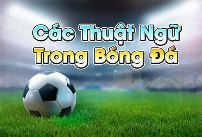 thuật ngữ cá độ bóng đá tại link vào Rik vip